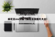 麻花豆mv传谋（麻花豆腐图片大全）