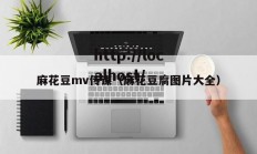 麻花豆mv传谋（麻花豆腐图片大全）